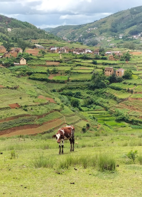 المناظر الطبيعية في مدغشقر